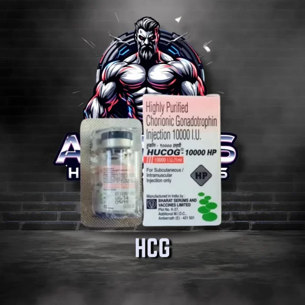 HCG 10000IU Bharat serums
